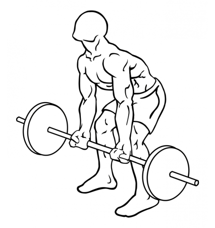 reverse-grips-bent-over-barbell-rows-large-1